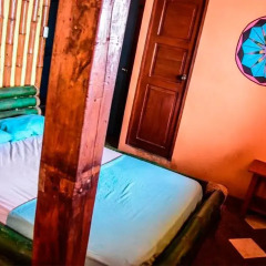 Guacamayo Hostel Pueblo детские мероприятия