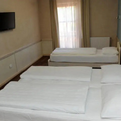 Hotel Centar Balasevic 3* Стандартный номер с различными типами кроватей фото 8