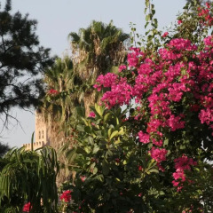Отель Riad Majala Марокко, Марракеш - отзывы, цены и фото номеров - забронировать отель Riad Majala онлайн фото 3