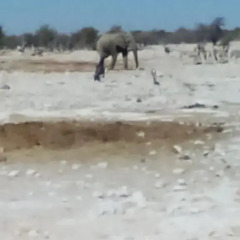 Отель Etosha Village пляж