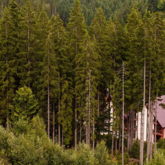 Karpatski Hotel & Restaurant