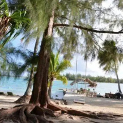 Отель Blue Heaven Island Французская Полинезия, Бора-Бора - отзывы, цены и фото номеров - забронировать отель Blue Heaven Island онлайн пляж фото 2