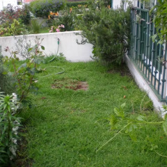 Отель Passion Fruit House