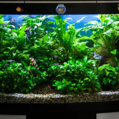 Отель Affittacamere Acquamarina Ористано
