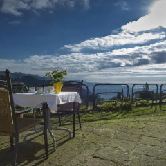 Отель B&B Il Trebbio Италия, Массароза - отзывы, цены и фото номеров - забронировать отель B&B Il Trebbio онлайн питание