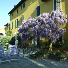 Отель B&B Casacasina Италия, Монцамбано - отзывы, цены и фото номеров - забронировать отель B&B Casacasina онлайн фото 4