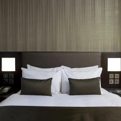Lorne Hotel Glasgow 3* Стандартный номер с двуспальной кроватью фото 5