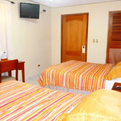 Отель The Green Frog Inn B&B 3* Номер категории Эконом с различными типами кроватей фото 6