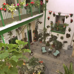 Отель Apartamentos Jerez Испания, Херес-де-ла-Фронтера - отзывы, цены и фото номеров - забронировать отель Apartamentos Jerez онлайн фото 3