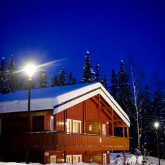 Birkebeineren Hotel & Apartments 3* Апартаменты с различными типами кроватей фото 39
