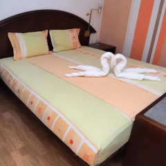 Отель Family Hotel Tangra Болгария, Видин - отзывы, цены и фото номеров - забронировать отель Family Hotel Tangra онлайн комната для гостей фото 3