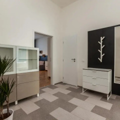 Апартаменты Comfortable Prague Apartments Апартаменты Премиум с различными типами кроватей фото 6