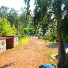 Medusa Camping Турция, Патара - отзывы, цены и фото номеров - забронировать отель Medusa Camping онлайн фото 4