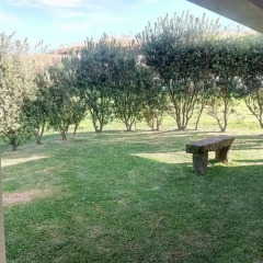 Отель Country House in Azores - S. Miguel