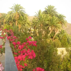 Hotel Balneario Sierra Alhamilla фото 13