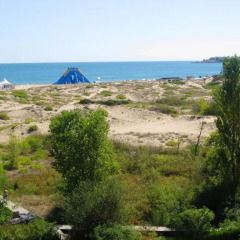 Отель Sirena 3* Стандартный номер с различными типами кроватей фото 3