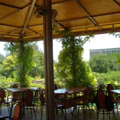 Hotel White Rose питание