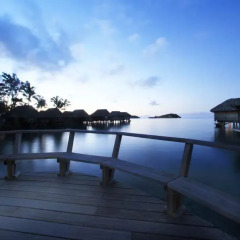 Отель Sofitel Bora Bora Marara Beach Resort 4* Улучшенное бунгало с различными типами кроватей фото 2