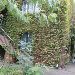 Гостиница Guest house Vladimir в Краснодаре отзывы, цены и фото номеров - забронировать гостиницу Guest house Vladimir онлайн Краснодар фото 4
