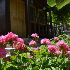 Montenegro Motel Стандартный номер с двуспальной кроватью фото 22