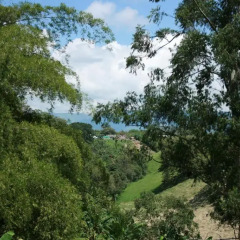 Finca Hotel el Caney del Quindio 2* Стандартный семейный номер с двуспальной кроватью фото 4
