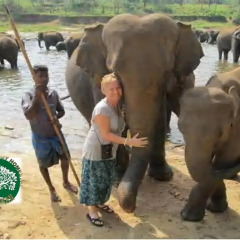 Отель Greenwood Kandy Homestay детские мероприятия