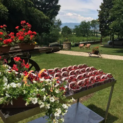 Отель Agriturismo Al Colle Del Ciliegio Италия, Региональный парк Colli Euganei - отзывы, цены и фото номеров - забронировать отель Agriturismo Al Colle Del Ciliegio онлайн помещение для мероприятий