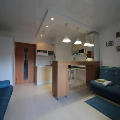Апартаменты Studio Shkapino 11 комната для гостей фото 2