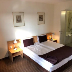 Olympia Hotel Zurich 3* Стандартный номер с двуспальной кроватью