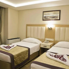 Baron Hotel 4* Стандартный номер с различными типами кроватей фото 4