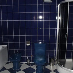 Hotel Aquapark Alligator Номер Делюкс с различными типами кроватей фото 4