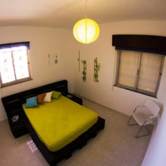 Alameda Hostel Стандартный номер с различными типами кроватей фото 7