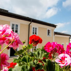 Отель Trumer Stube 3* Стандартный номер фото 3