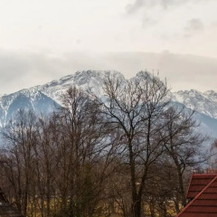 Отель Apartamenty Sienkiewicza Zakopane фото 2