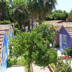 Kuba Beach Hotel Турция, Сиде - отзывы, цены и фото номеров - забронировать отель Kuba Beach Hotel онлайн фото 7