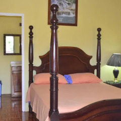 Отель Little Shaw Park Guest House 2* Стандартный номер с различными типами кроватей фото 2