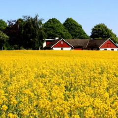 Отель Stora Herrestad B&B детские мероприятия