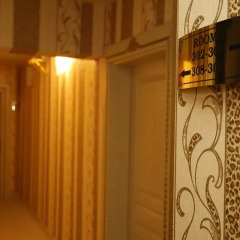 Golden Boutique Hotel Турция, Анкара - отзывы, цены и фото номеров - забронировать отель Golden Boutique Hotel онлайн интерьер отеля фото 3