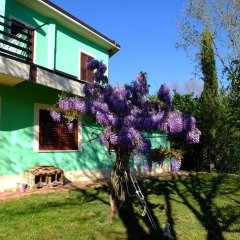 Отель L'Acero Campestre Читтадукале фото 2