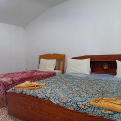 Отель Funky Fish Bungalows Таиланд, Ланта - отзывы, цены и фото номеров - забронировать отель Funky Fish Bungalows онлайн комната для гостей фото 2