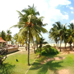 Отель Golden Star Beach Hotel Шри-Ланка, Негомбо - отзывы, цены и фото номеров - забронировать отель Golden Star Beach Hotel онлайн фото 2