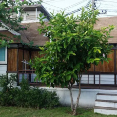Отель De Coco House Sriracha 3* Бунгало Делюкс с различными типами кроватей фото 19