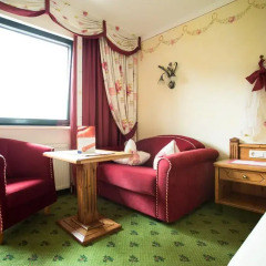Hotel AlpenSchlössl детские мероприятия фото 2