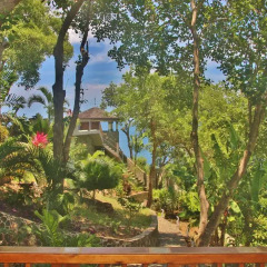 Отель Tropical Hideaway 4* Улучшенные апартаменты с различными типами кроватей фото 9