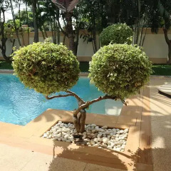 Отель Siam Royal View Pool Villa Adults Only