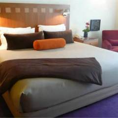 Отель Camino Real Polanco Mexico 4* Номер Делюкс с разными типами кроватей