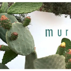 Отель Muriska Синискола помещение для мероприятий