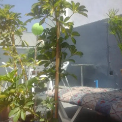 Отель Riad Aicha бассейн фото 2