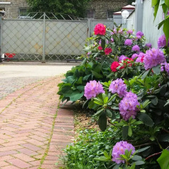 Отель San Jacinto B&B Вильнюс