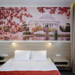 Гостиница Aterra Suite 3* Стандартный номер с двуспальной кроватью фото 7